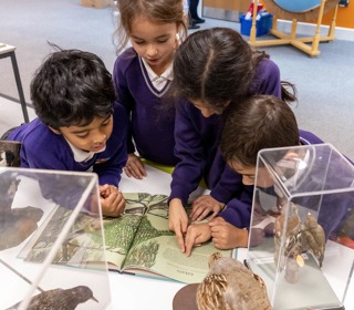 Langley Academy Primary