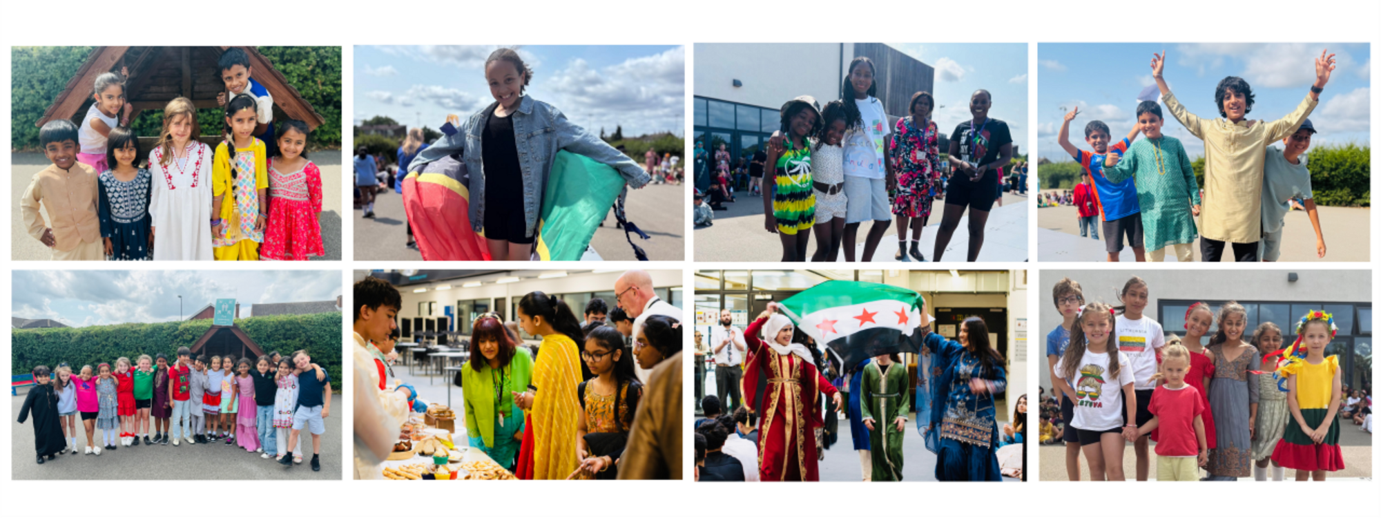 EDIB Collage (2000 x 750 px)